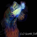 mandarinfish_rr_h_0041_yap0615.jpg